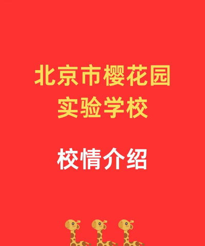 北京樱花园实验学校(小学部)户外活动场地
