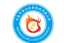 上海宝山区陈伯吹实验小学户外活动场地
