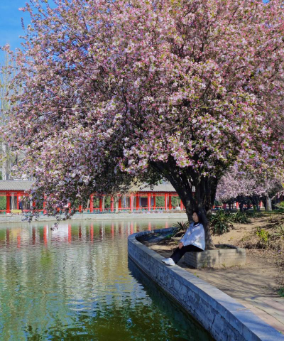 保定学院户外活动场地