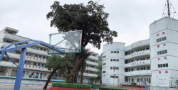 东莞清溪金阳小学户外活动场地