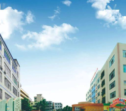 广州东风实验小学户外活动场地