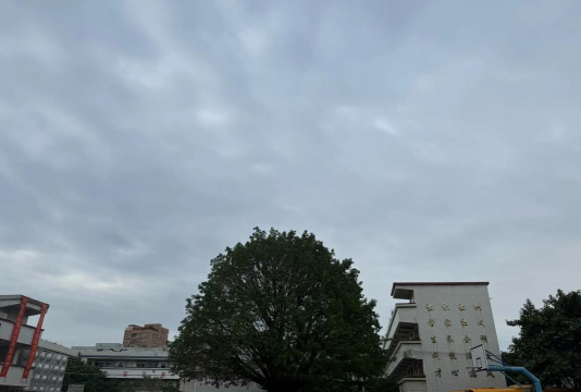 广州沙龙小学户外活动场地