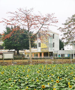 广州冯马小学户外活动场地