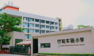 深圳市龙华区行知小学户外活动场地