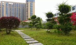 深圳市龙华区清湖小学户外活动场地