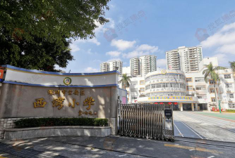 深圳西湾小学户外活动场地
