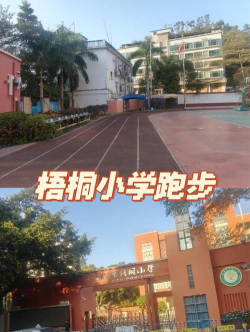 深圳梧桐小学户外活动场地