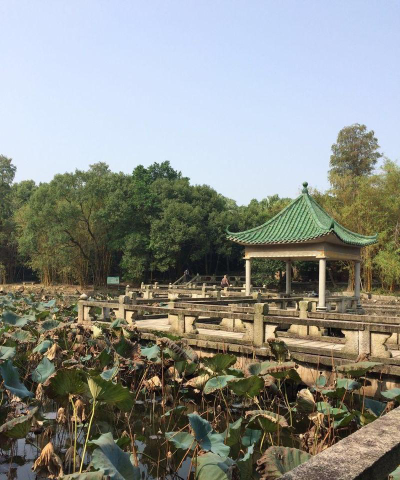 香洲区唐家中心小学户外活动场地