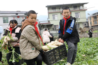 野竹坪镇中心完小户外活动场地