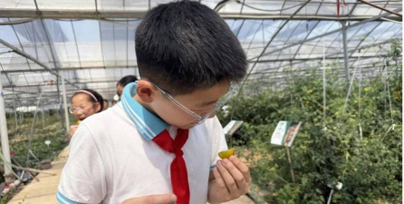 上海奉贤区邵厂学校(九年一贯制)户外活动场地