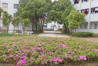 黄冈黄梅县鄂东华宁高级中学户外活动场地