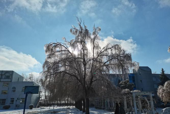 四平吉林师范大学分院户外活动场地