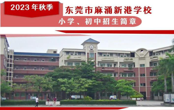 东莞麻涌新港学校户外活动场地