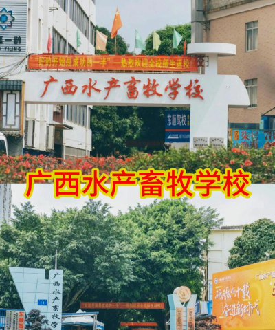 南宁广西水产畜牧学校户外活动场地