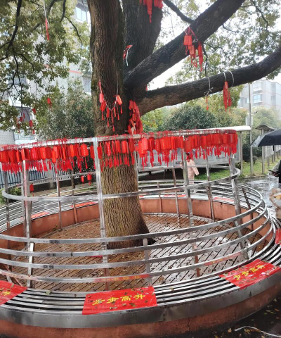 南昌市新建区第一中学户外活动场地