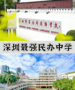 深圳百合外国语学校户外活动场地