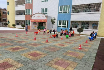 始兴县沈所镇沈南村幼儿园户外活动场地
