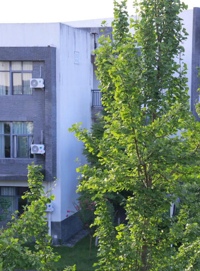 绵阳北川中学户外活动场地