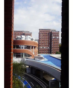 深圳外国语学校弘知高中户外活动场地