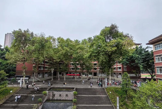 重庆市南川道南中学校户外活动场地
