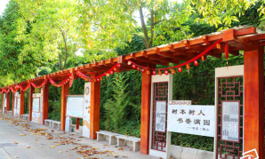 狮山中心小学户外活动场地