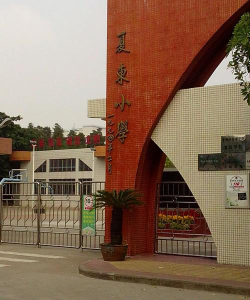 桂城平洲夏东小学户外活动场地