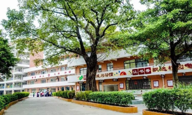 罗村芦塘小学户外活动场地