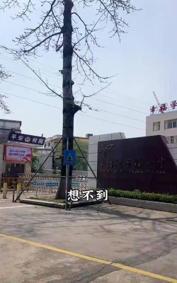 容桂幸福陈占梅小学户外活动场地