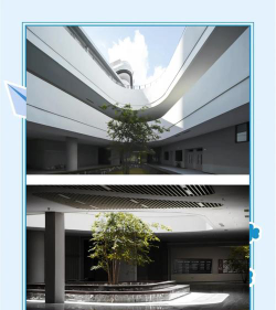 深圳市格致中学户外活动场地