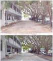 汕头市澄海前沟华侨小学户外活动场地