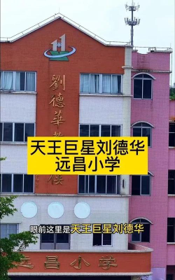 荷塘镇远昌小学户外活动场地