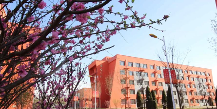 饶阳县第二中学户外活动场地