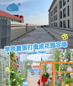 农场学校户外活动场地