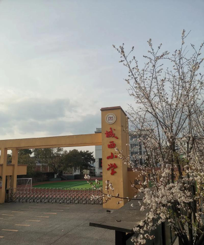 会城西盛小学户外活动场地