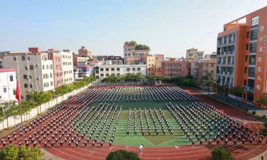 佛山市顺德区乐从大闸小学户外活动场地