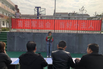 台城镇长岭小学户外活动场地
