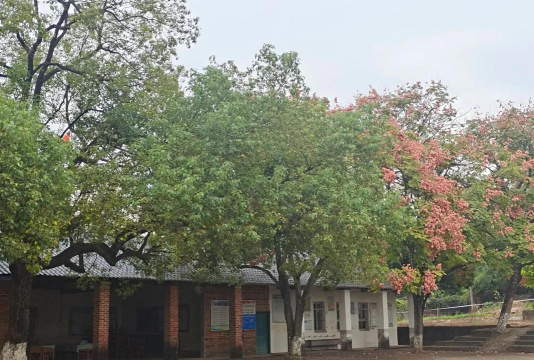 文峰区大营小学户外活动场地