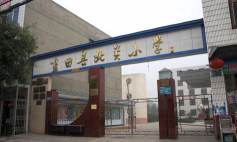 高州市南塘镇蓝田小学彭村分教点户外活动场地