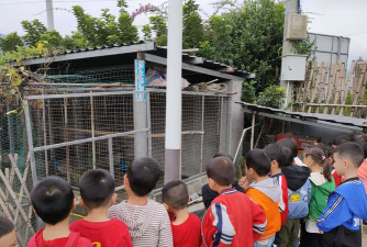 陆河县螺溪中心幼儿园户外活动场地