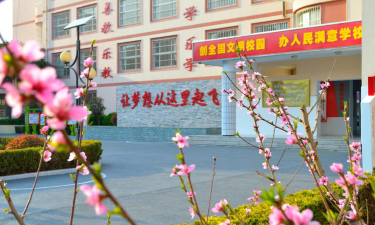 鹤壁市桃源小学户外活动场地