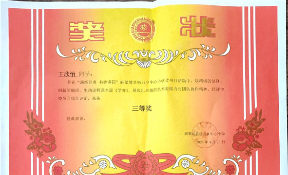 谷城县茨河镇杨村中心小学户外活动场地