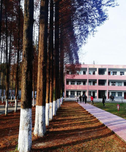 大柳中学户外活动场地