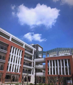 安陆市解放路小学户外活动场地