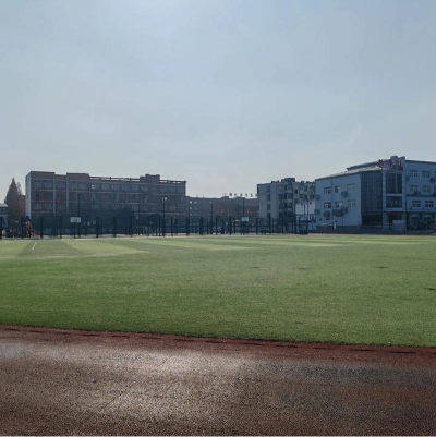 清丰县城关镇实验小学户外活动场地