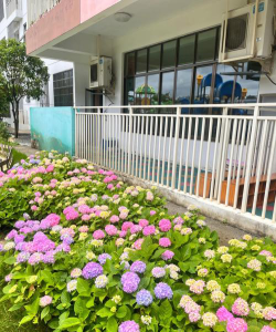 肇庆市端州区花朵幼儿园户外活动场地