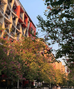 南乐县广艺艺术培训有限公司户外活动场地