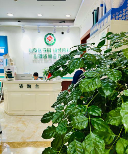 喀什市叶子艺术培训有限责任公司户外活动场地