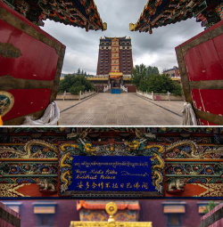 甘肃追风培训学校有限公司阅读区