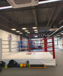 都兰行轩武道体育文化传播有限公司阅读区