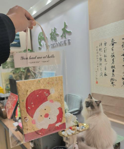莆田市荔城区西天尾画说少创培训中心有限公司阅读区